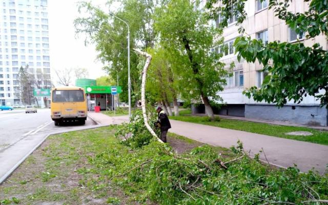 Жителей Башкирии предупредили о новом урагане