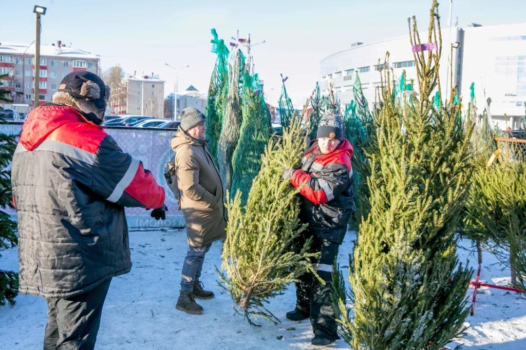 Елочные базары в Уфе откроются 15 декабря