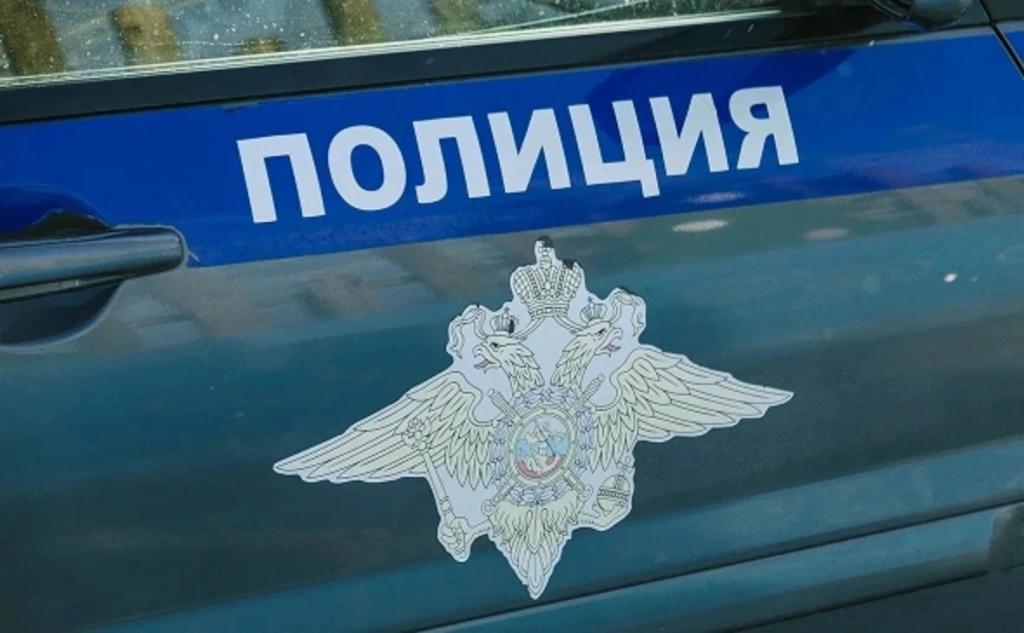 В Башкирии школьница подожгла АЗС и полицейский автомобиль