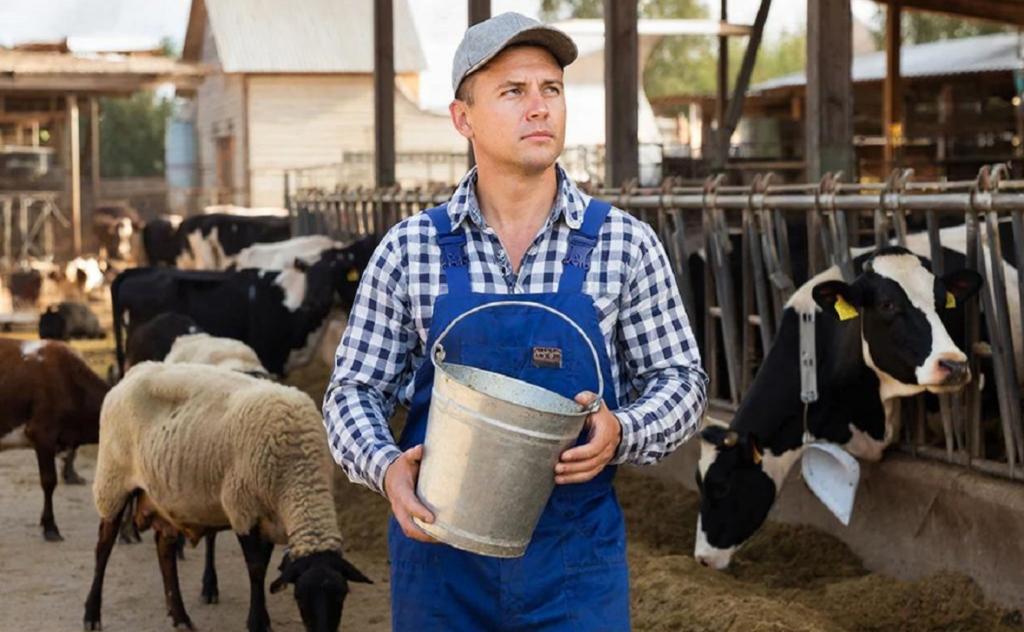 Участникам СВО в Башкирии предлагают вакансии животновода и дознавателя