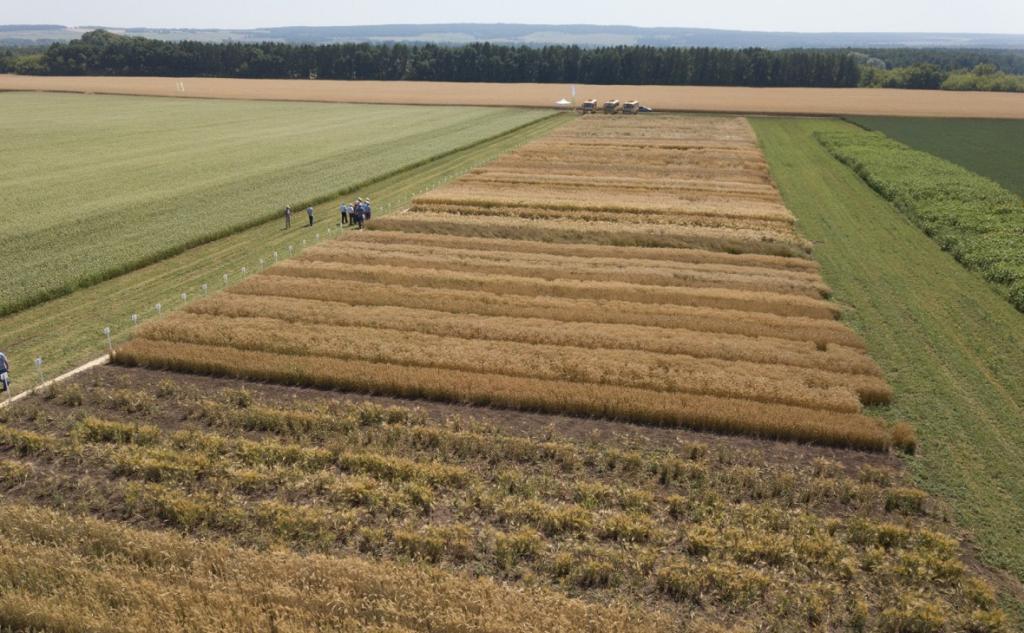 В Башкирии БПЛА помогли поймать нарушителей земельного законодательства