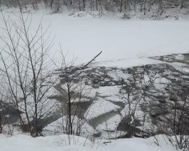 На озере в Башкирии больше 200 баранов погибли, провалившись под лед На озере в Башкирии больше 200 баранов погибли, провалившись под лед