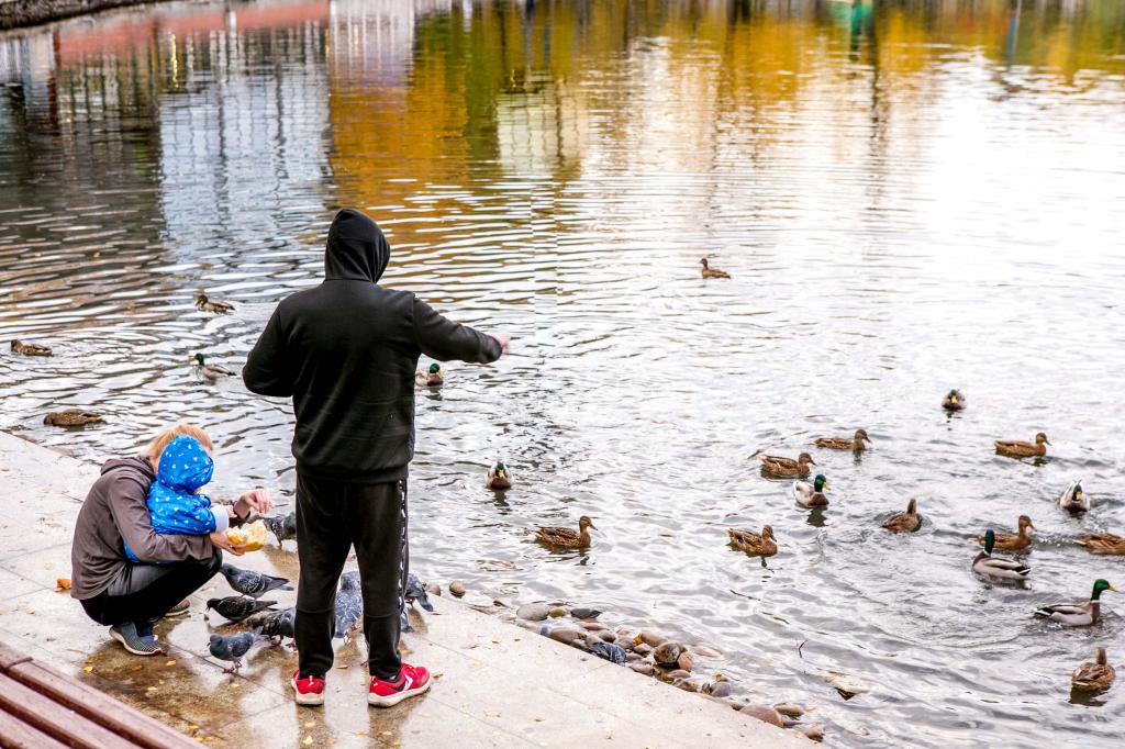 На выходных в Башкирии обещают дожди и грозы