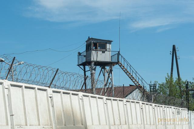 В Башкирии женщина вспорола знакомому живот пилкой для ногтей