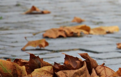 МЧС предупредило жителей Башкирии об усилении ветра