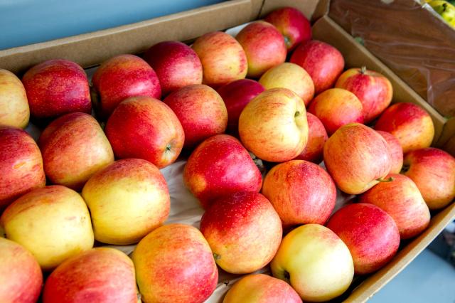 В Башкирии резко упали цены на яблоки