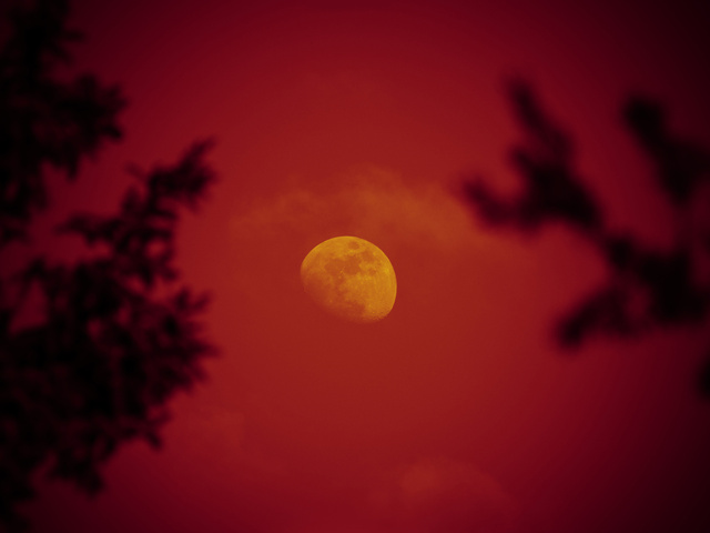 photo-11-11
