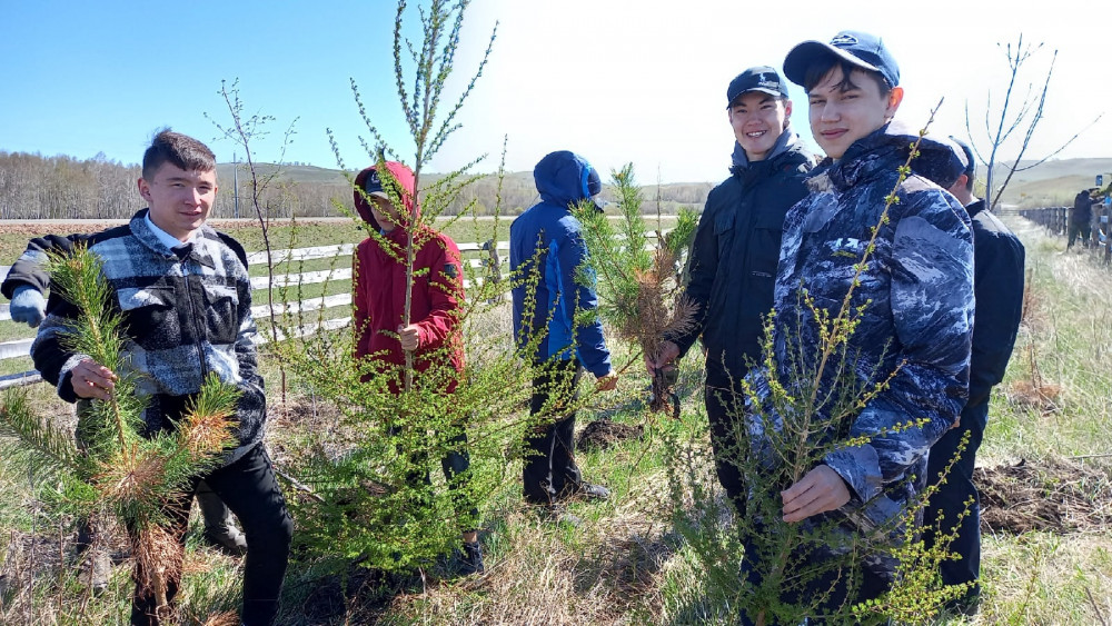 Юные лесоводы Башкирии высадили более 5 тысяч деревьев и кустарников в рамках акции «Сад памяти»