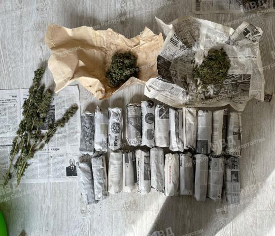 В Кандрах мужчина вырастил у себя на участке 10 кг марихуаны