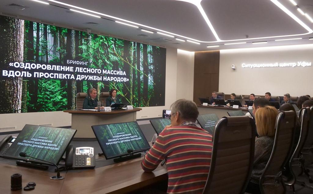 Власти Уфы объяснили вырубку леса в Затоне изменением климата