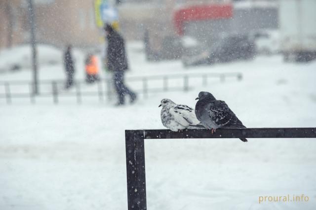 В Башкирии температура воздуха опустится до -25°