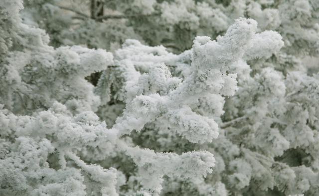 В Башкирии на выходных похолодает до -32°