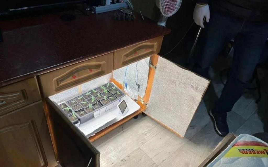 Супруги из Татарстана организовали бизнес на марихуане в Башкирии