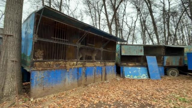 Приставы опечатали уфимский зоолунопарк «Саванна» на 30 суток Приставы опечатали уфимский зоолунопарк «Саванна» на 30 суток