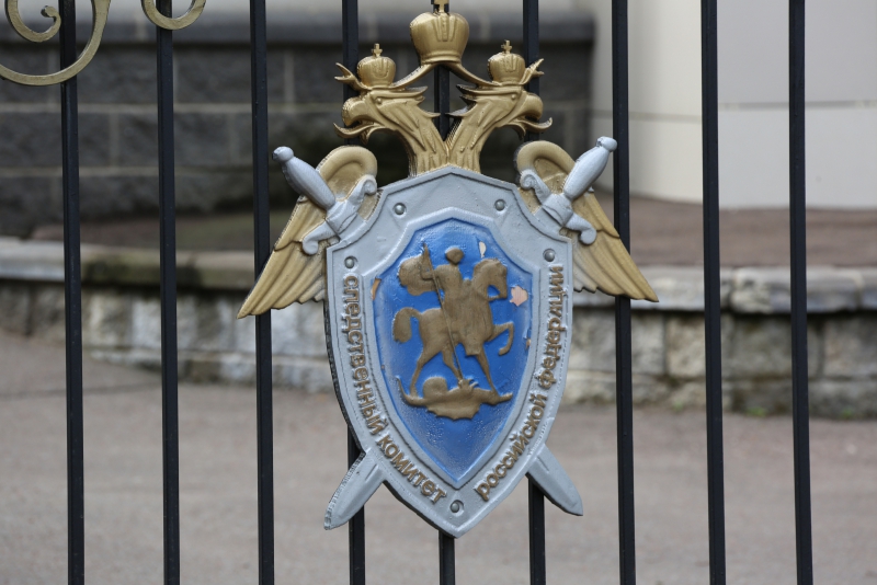 Бастрыкин запросил доклад по делу о смерти жительницы Башкирии после визита к врачу