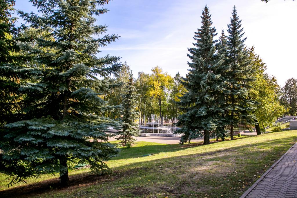 До 8 мая в Уфе завершат обработку территорий от клещей