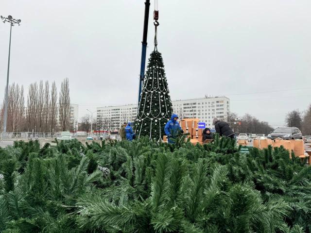 Перед Дворцом спорта в Уфе монтируют 20-метровую ель