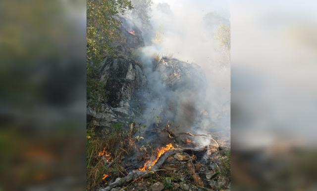 В Башкирии вспыхнули два лесных пожара