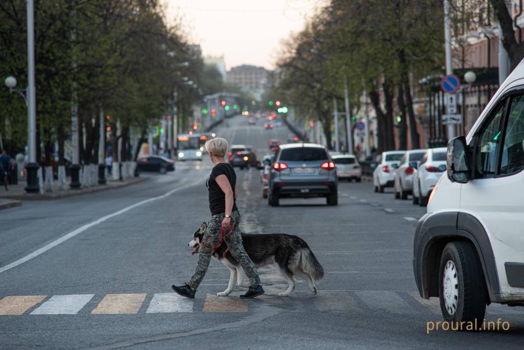 В Уфе мужчина избил девушку из-за того, что его понюхала ее собака