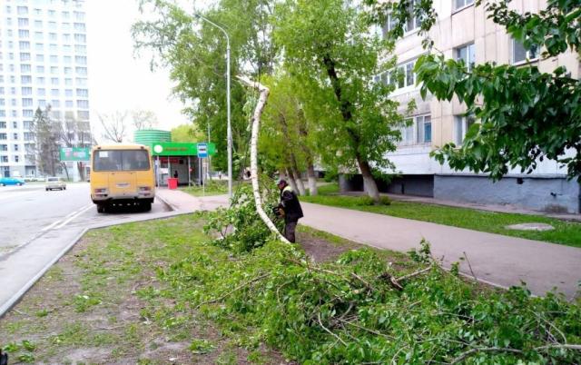 Штормовой ветер в Уфе повредил пять машин и сорвал крышу со школы