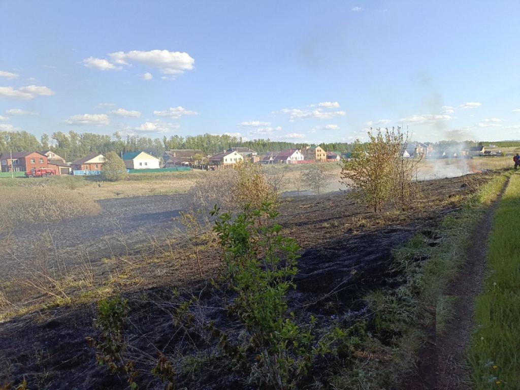 В Туймазах возле частного сектора загорелись 3 га сухой травы и мусора