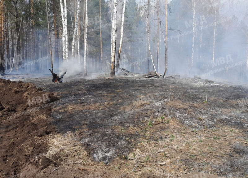В Башкирии полицейские нашли виновников двух лесных пожаров