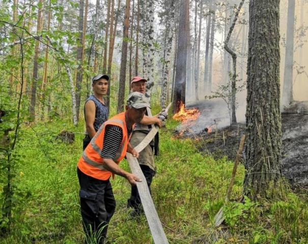 Люди против стихии: фоторепортаж о тушении пожаров в лесах Башкирии