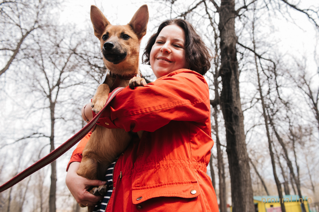 Депутаты Башкирии приняли в первом чтении закон о господдержке для приютов