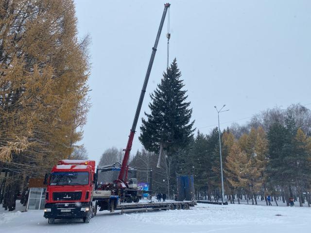 Еще в одном уфимском парке появилась новогодняя ель