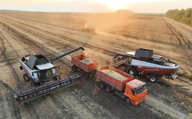 Режим ЧС могут ввести в 11 районах Башкирии