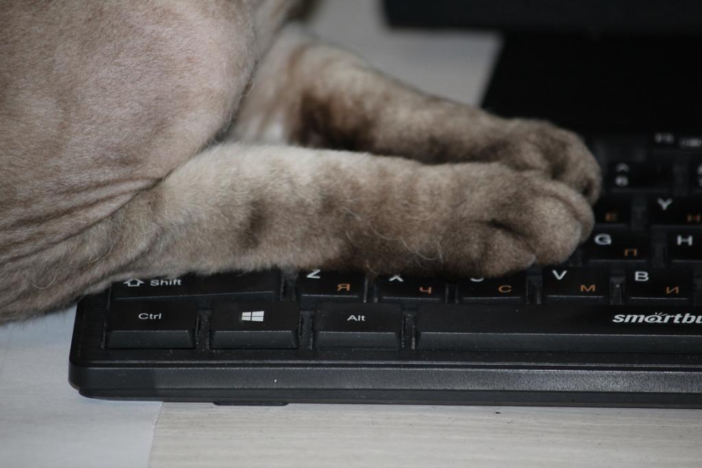 В Уфе спрос на фрилансеров вырос на 78%