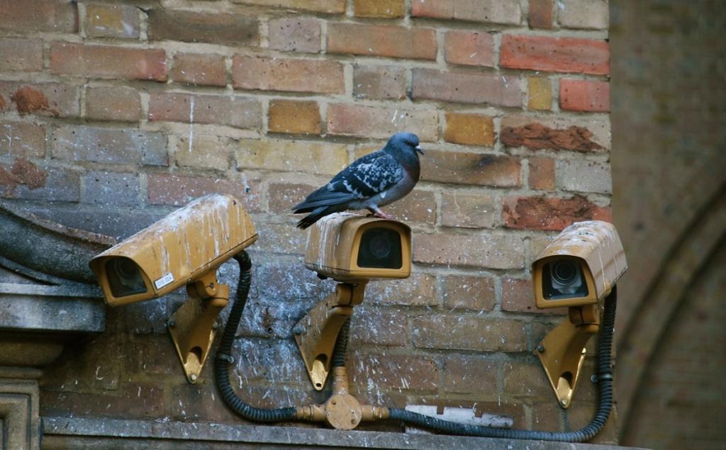 Хозяин съемной квартиры в Уфе помог раскрыть убийство