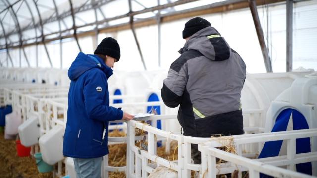 Молодым специалистам АПК в Башкирии выделят по 750 тыс. рублей «подъемных»