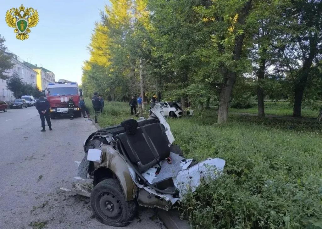В Салавате легковушка влетела в дерево, погибли два пассажира