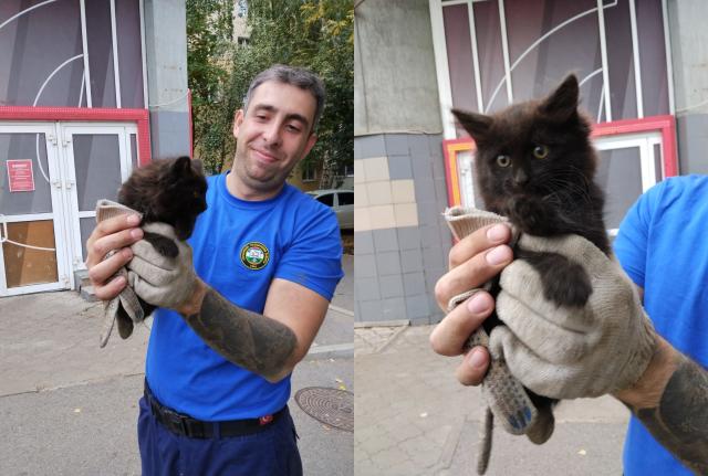 В Уфе спасатели помогли котенку, застарявшему под капотом автомобиля
