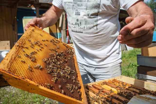 В Башкирии отец и сын открыли пчеловодческий бизнес
