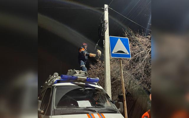 Под Уфой спасатели сняли со столба котенка