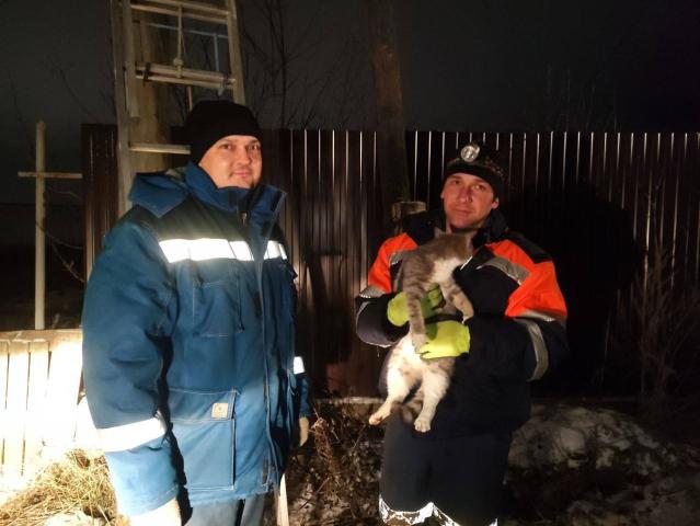  В Башкирии спасатели вызволили застрявшего на электроопоре котенка