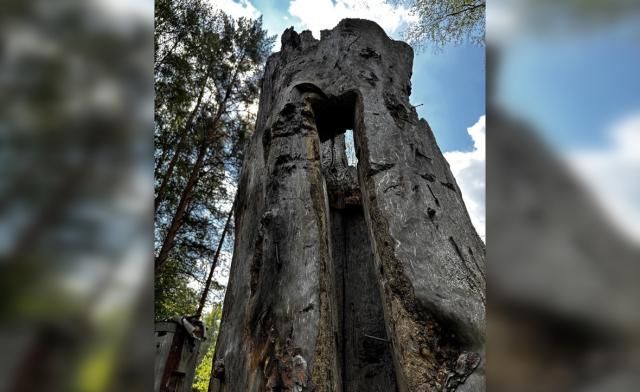 Башкирское пчеловодство могут включить в список всемирного аграрного наследия
