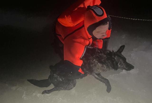 В Уфе спасатели вытащили провалившуюся под лед собаку