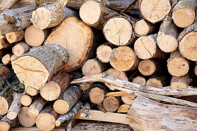 Башкирия наращивает объем экспорта переработанной древесины