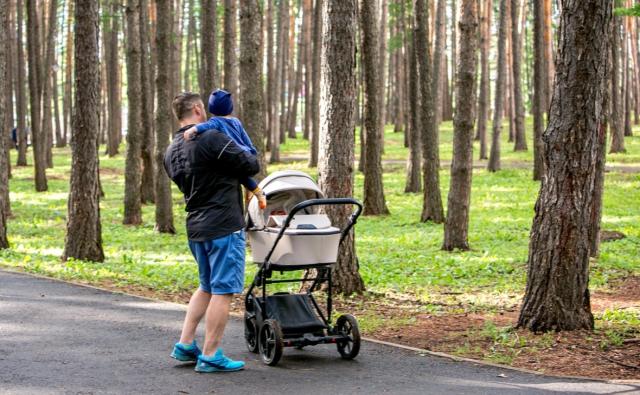Число многодетных семей в Башкирии за пять лет выросло на 24%