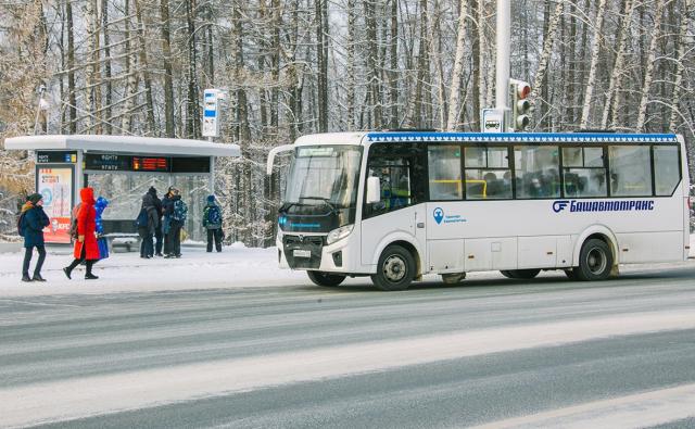 Суд обязал «Башавтотранс» пожизненно выплачивать пенсионерке ₽40 тыс. в месяц