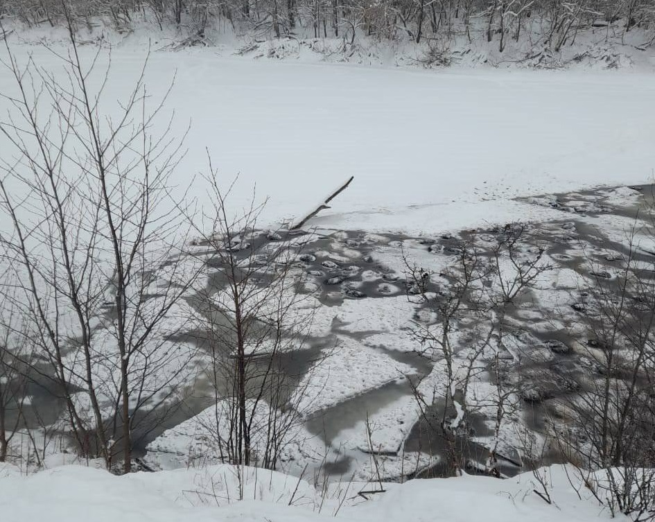 На озере в Башкирии больше 200 баранов погибли, провалившись под лед