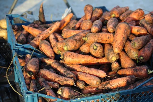 В Башкирии снова взлетели цены на овощи