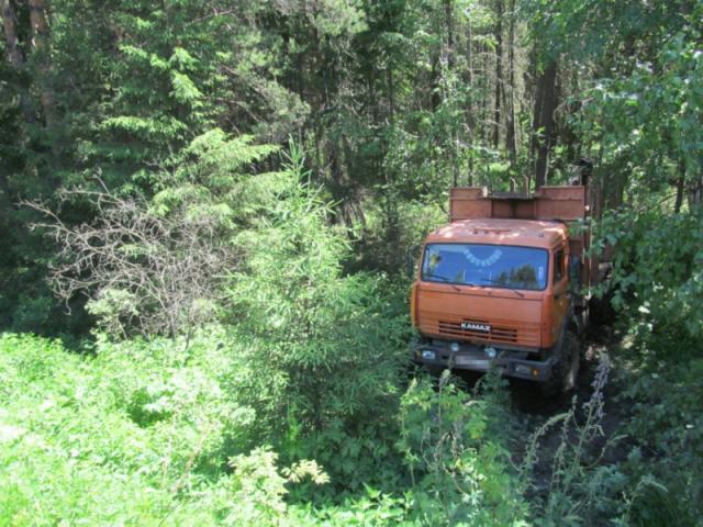 Пьяный житель Башкирии угнал грузовик, бросил его в лесу и пошел пить дальше