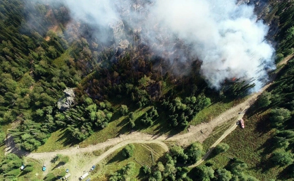 В Башкирии из-за опасности природных пожаров запретят посещать леса