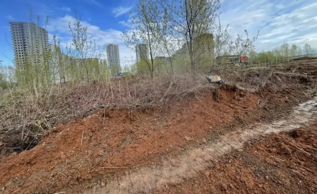 Три человеческих скелета нашли в поле на окраине Уфы