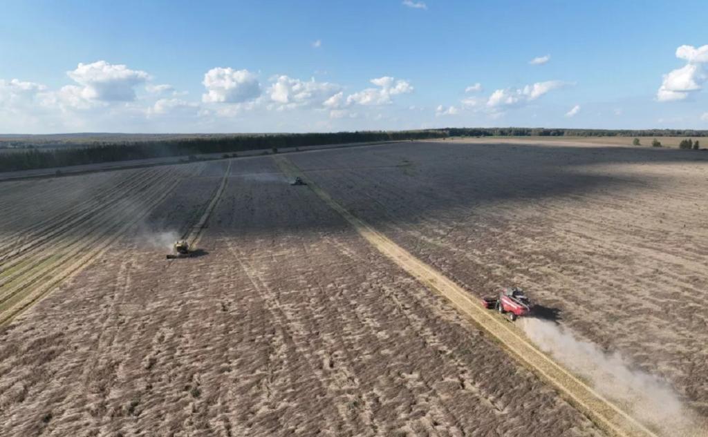 В Башкирии собрали 3,7 млн тонн зерна