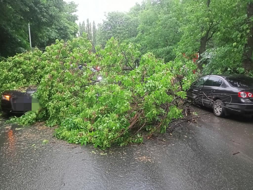 В Уфе упавшие из-за непогоды деревья повредили шесть автомобилей